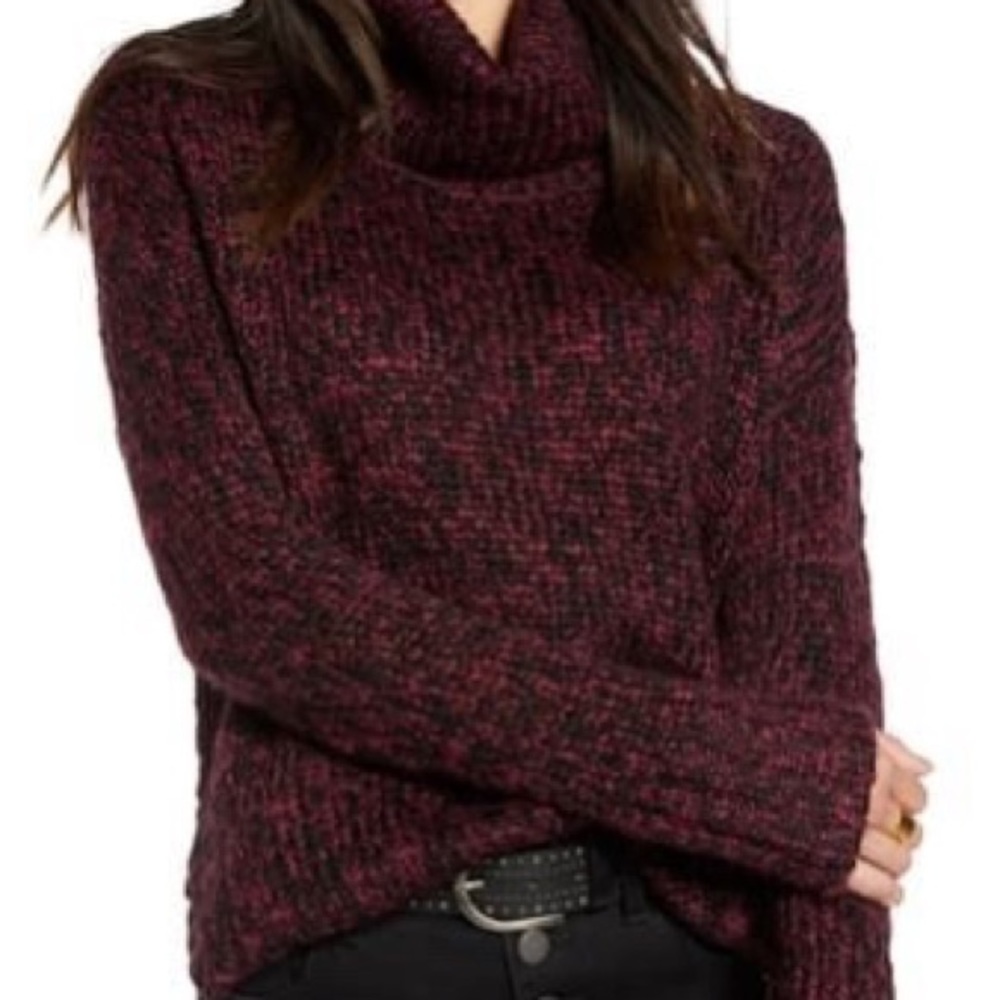 Treasure & Bond Chunky Turtleneck Tunic Sweater